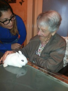 petTherapy3